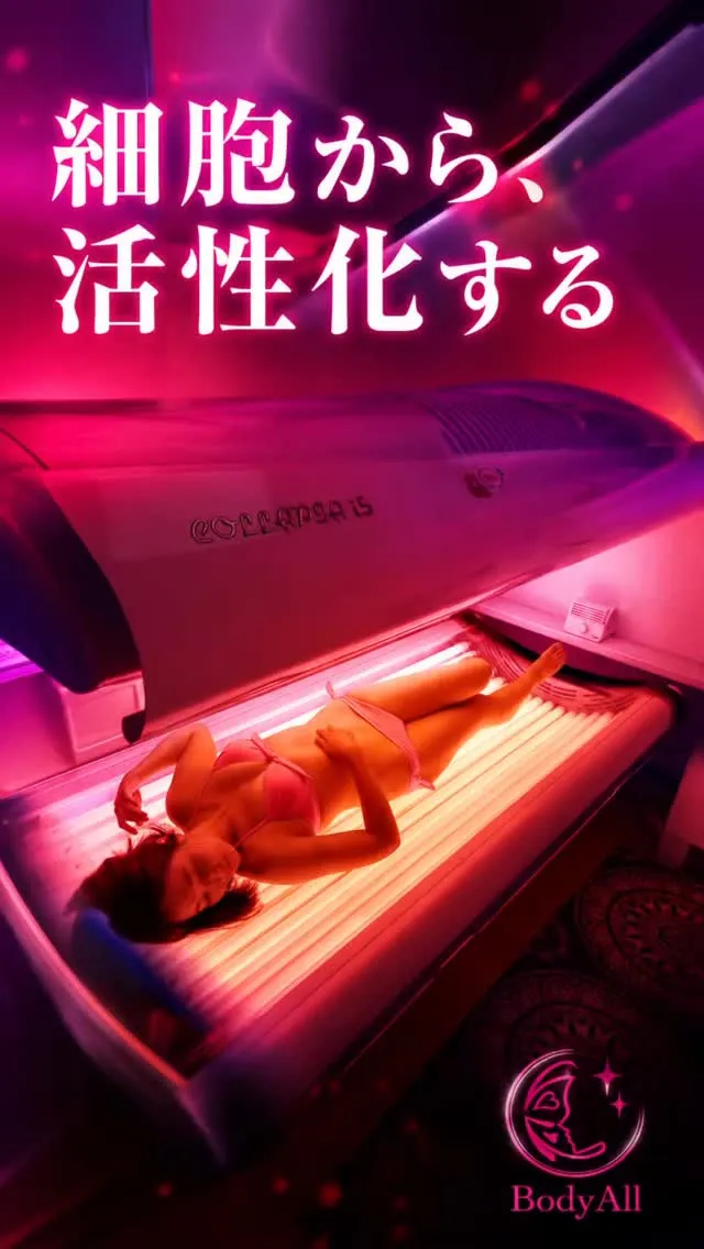 整体だけじゃない。